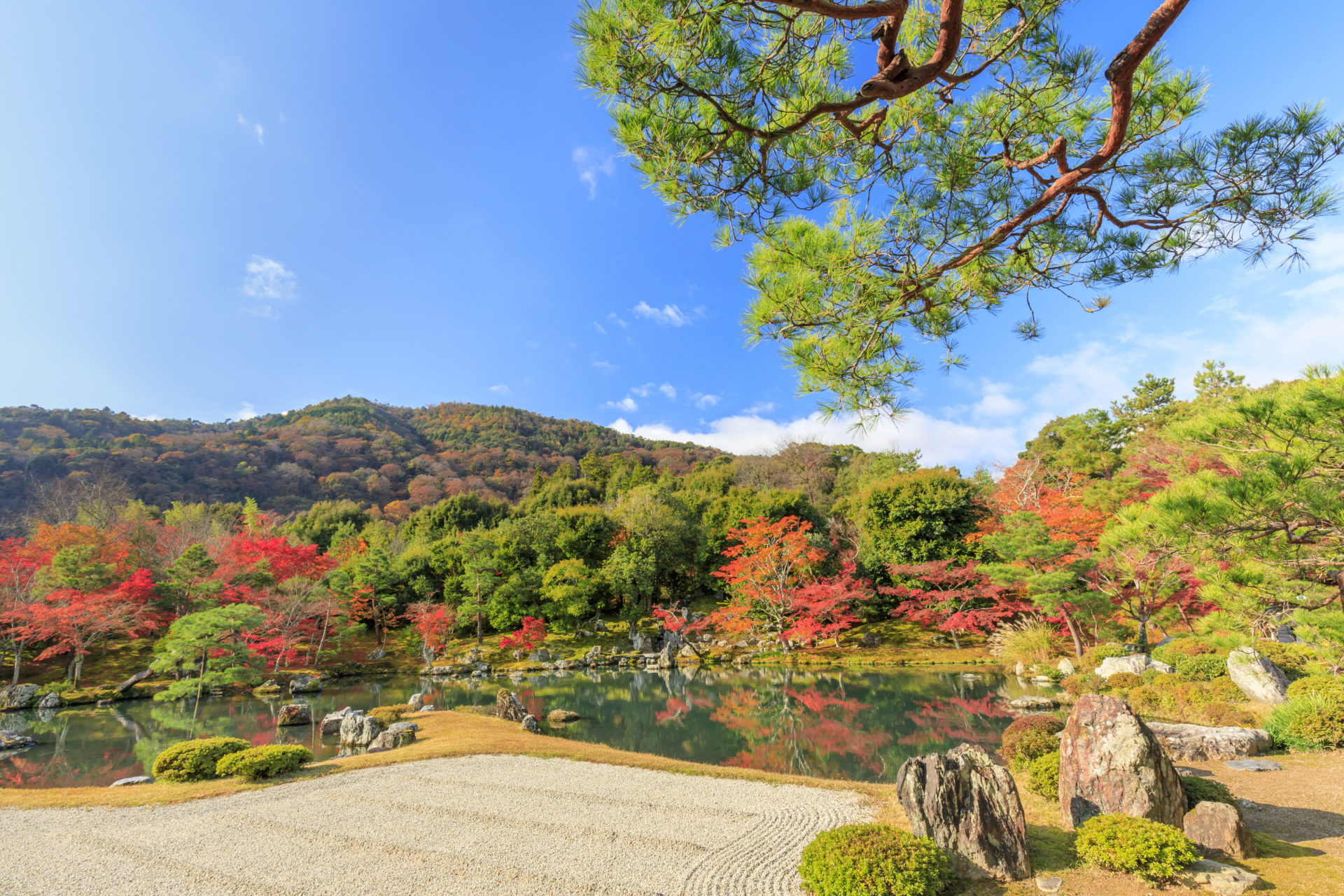 天龍寺　紅葉